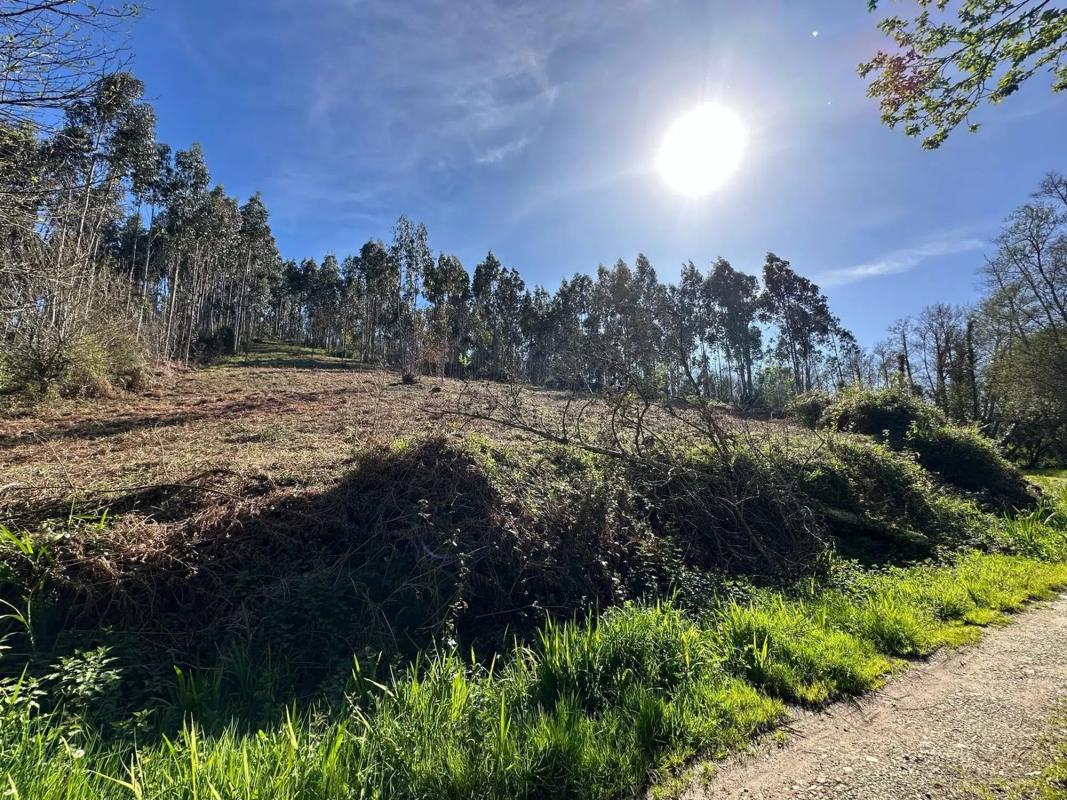 Terreno en venta en Narón, A Coruña photo 5