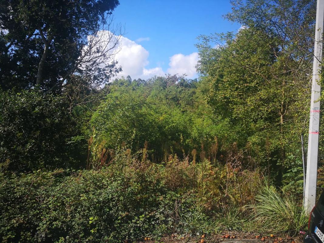 Land for sale in Bergondo, A Coruña photo 4