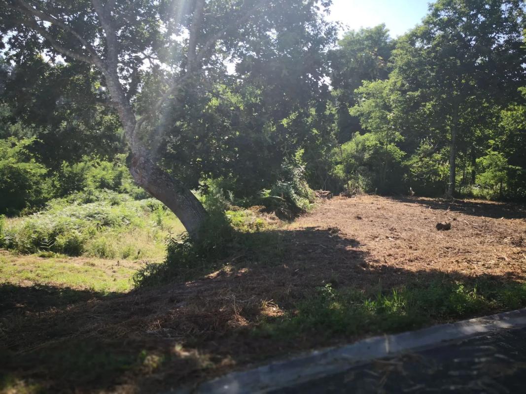 Land for sale in Bergondo, A Coruña photo 5