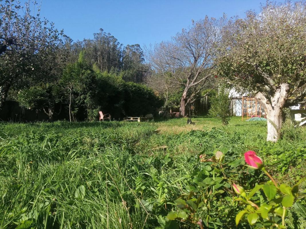 Terreno en venta en Culleredo, A Coruña photo 5