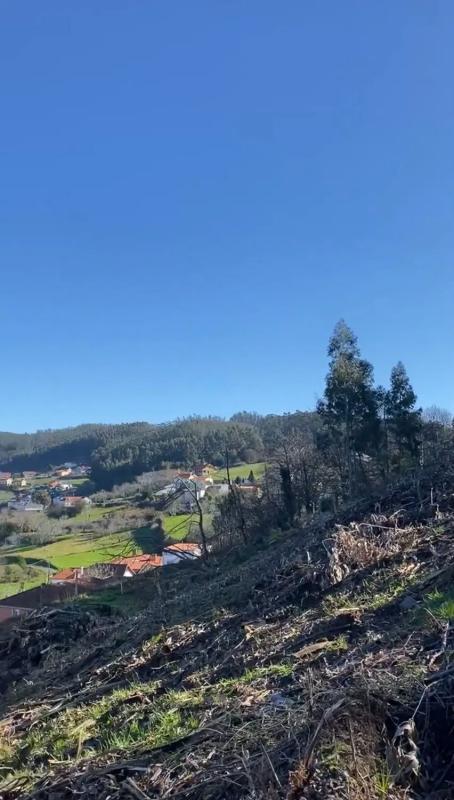 Terreno en venta en Cedeira, A Coruña photo 2