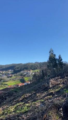 Terreno en Lugar de Santallamar s/n photo 2