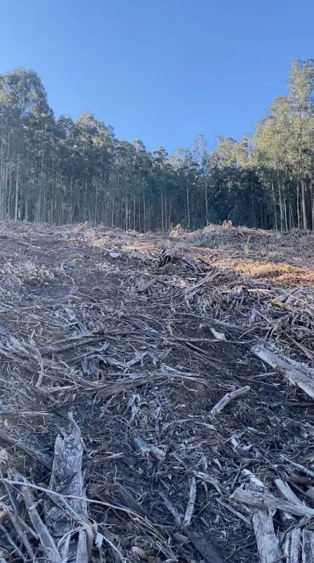 Terreno en venta en Cedeira, A Coruña photo 3