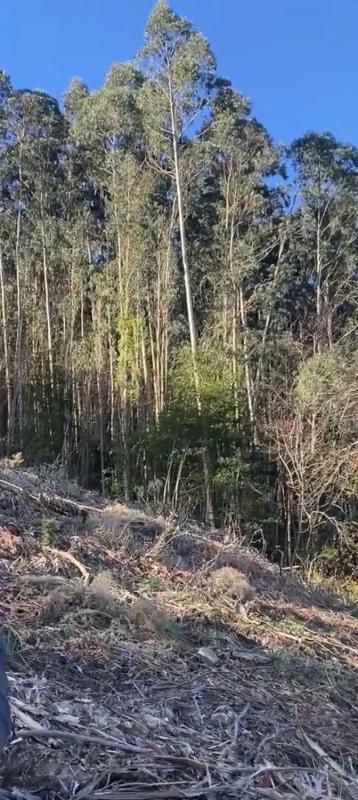 Terreno en venta en Cedeira, A Coruña photo 5