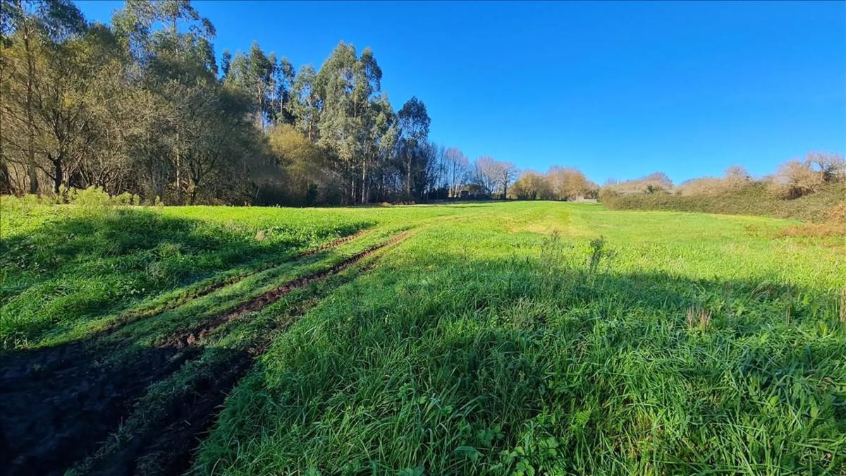 Terreno en venta en Santiago de Compostela, A Coruña photo 1