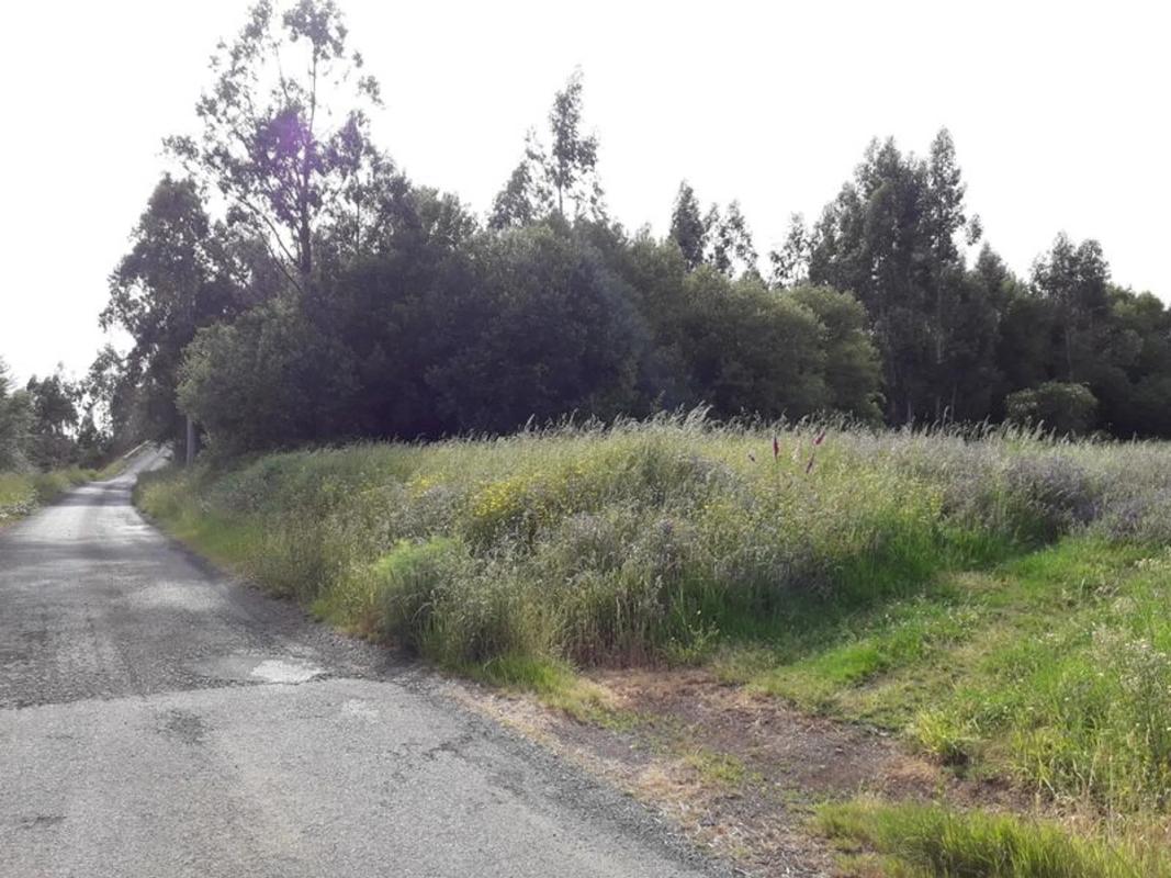 Terreno en venta en Santiago de Compostela, A Coruña photo 2