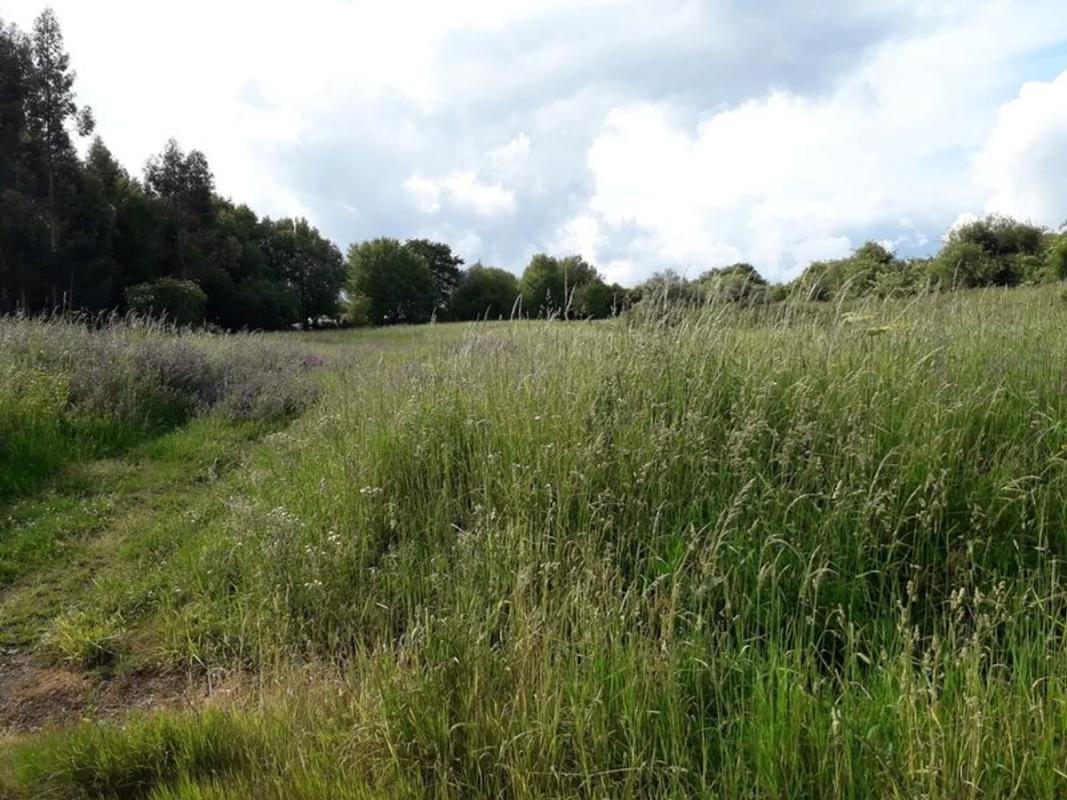 Terreno en venta en Santiago de Compostela, A Coruña photo 3