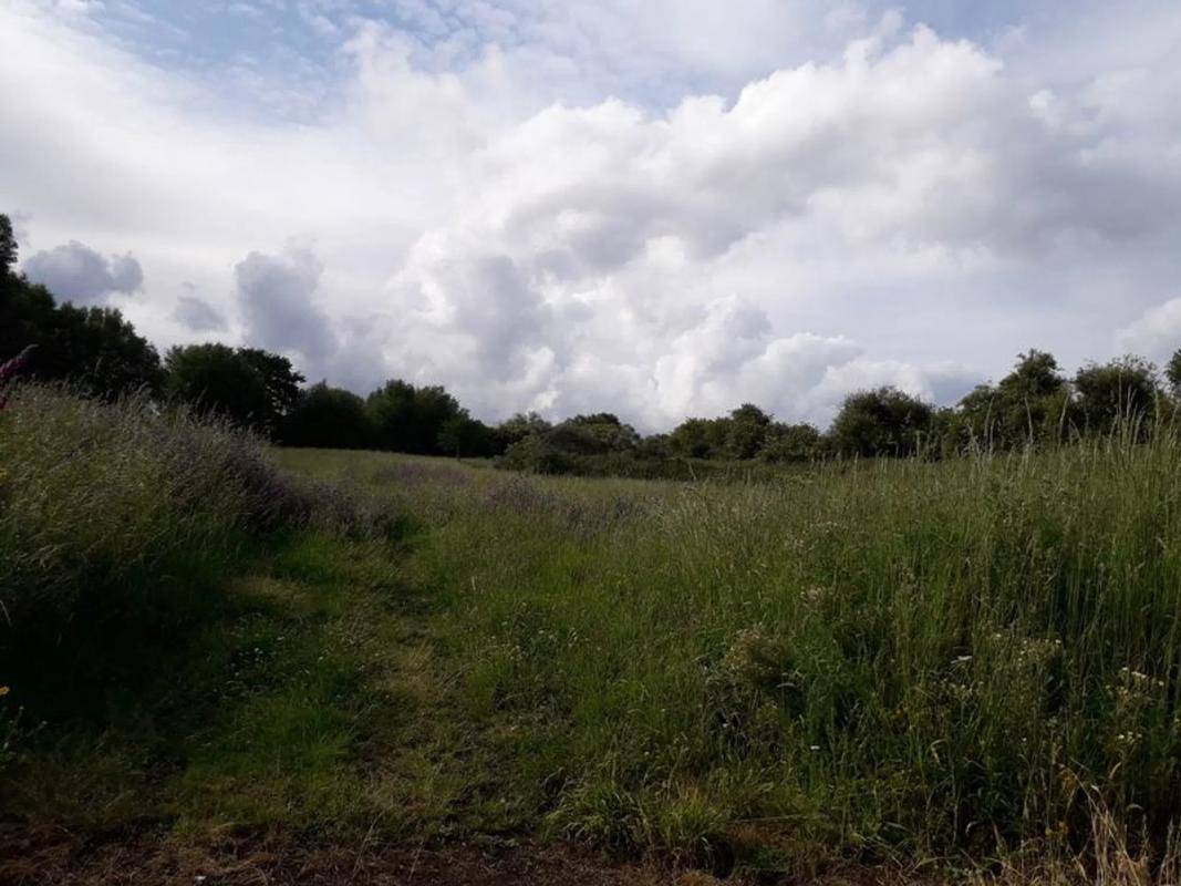 Terreno en venta en Santiago de Compostela, A Coruña photo 4