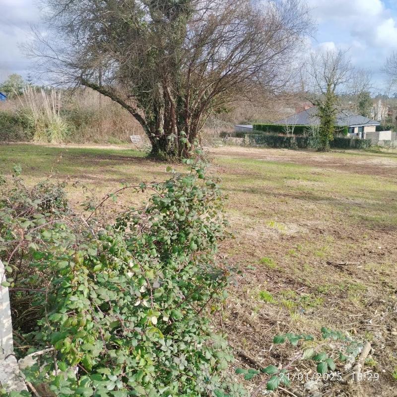 Terreno en venta en Sada, A Coruña photo 3