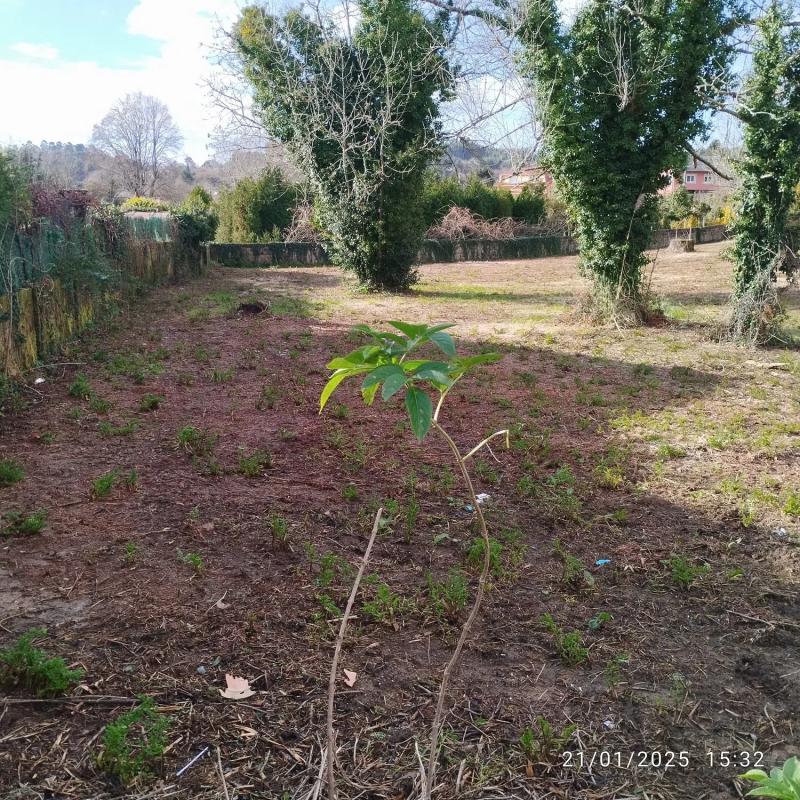 Terreno en venta en Sada, A Coruña photo 5