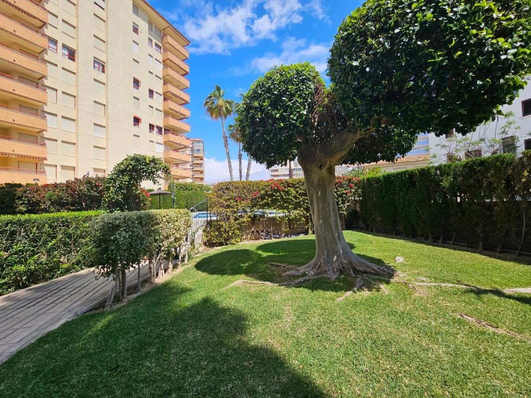 Продажа квартиры на Calle de Jacinto Benavente, Эль Кампельо
photo 1