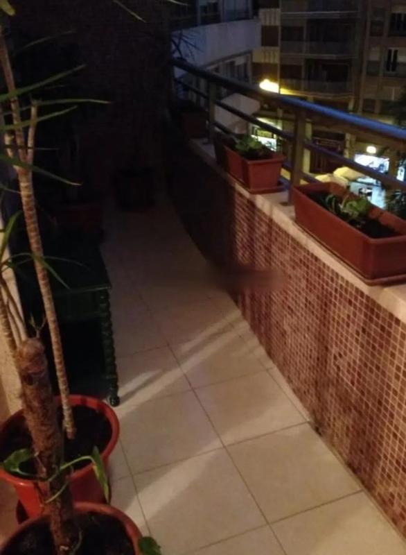 Venta de piso en Barrio Pont Nou-Corazón de Jesús, Elche / Elx
photo 3