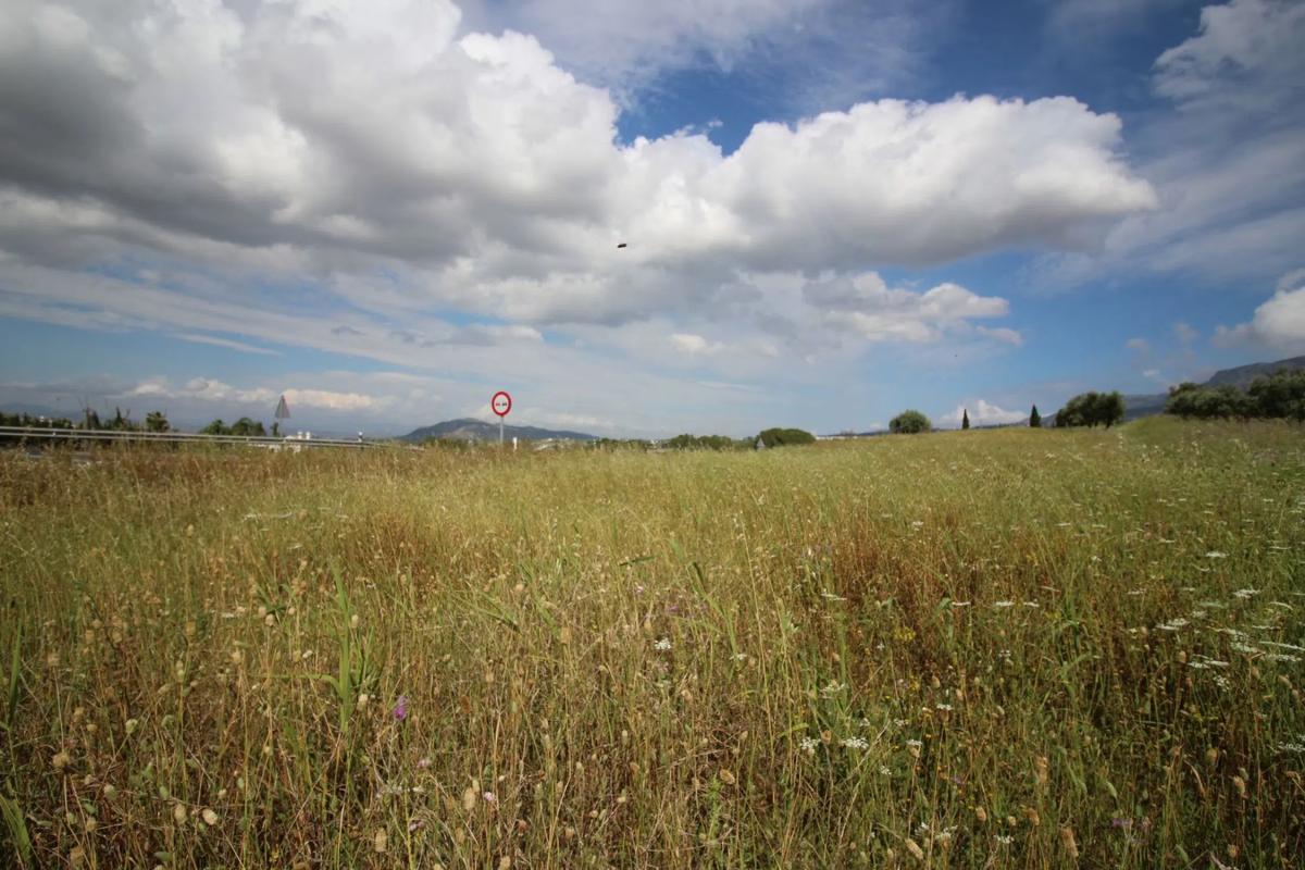 Terreno en venta en Coin, Malaga photo 5