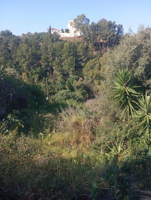 Land for sale in Fuengirola, Malaga photo 4