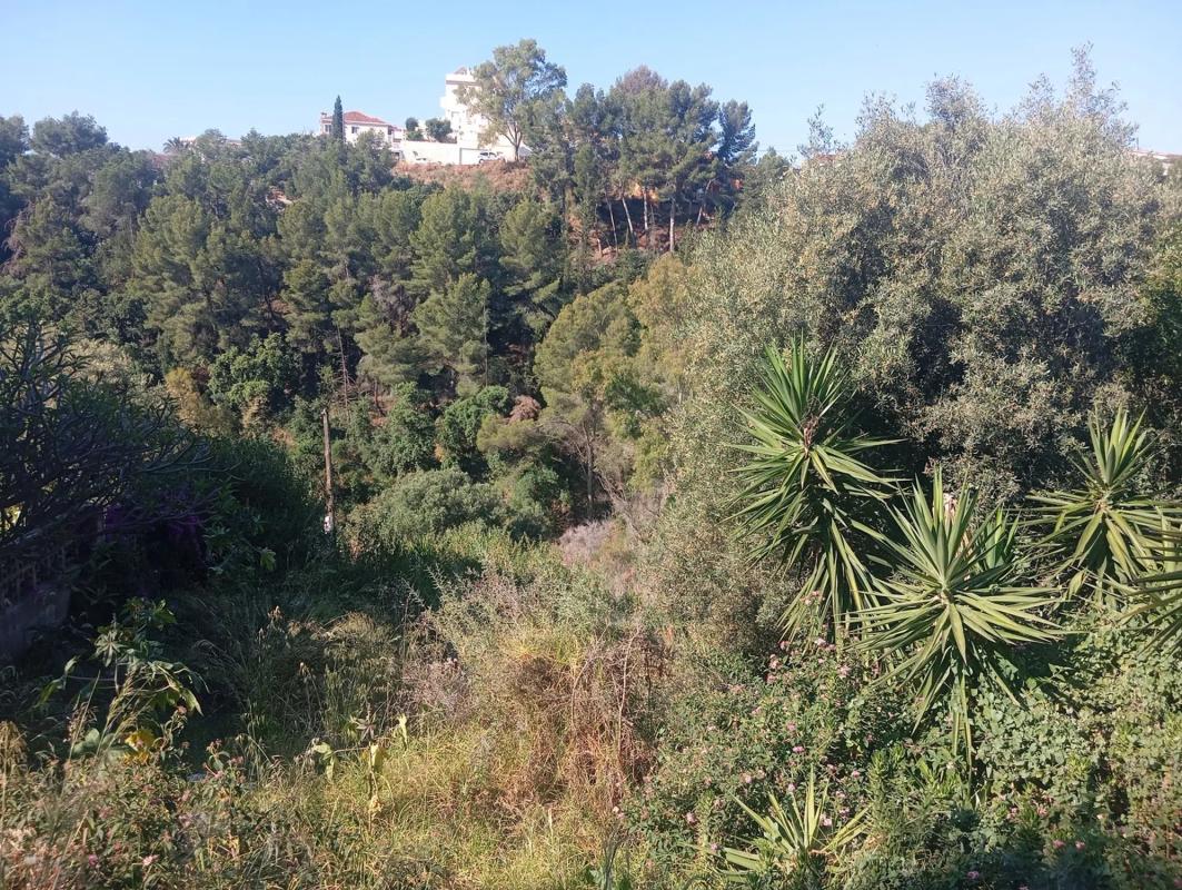 Land for sale in Fuengirola, Malaga photo 5