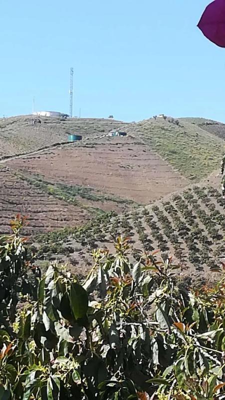 Terreno en venta en Vélez-Malaga, Malaga photo 1