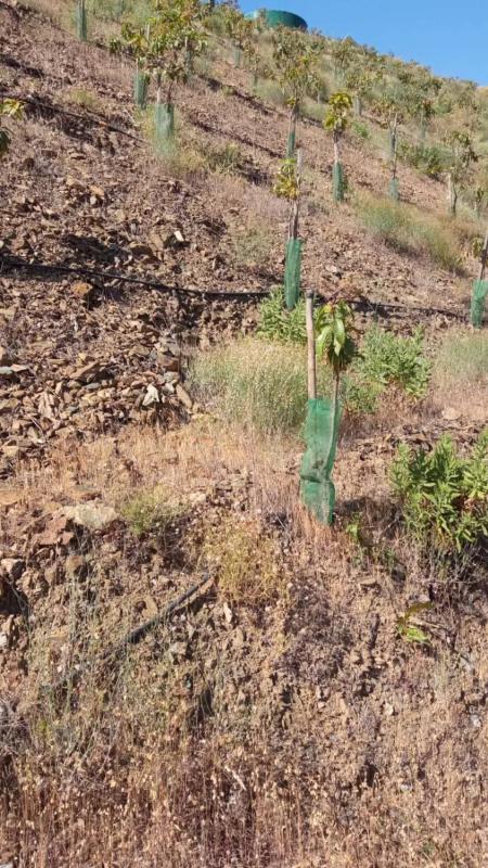 Terreno en venta en Vélez-Malaga, Malaga photo 2