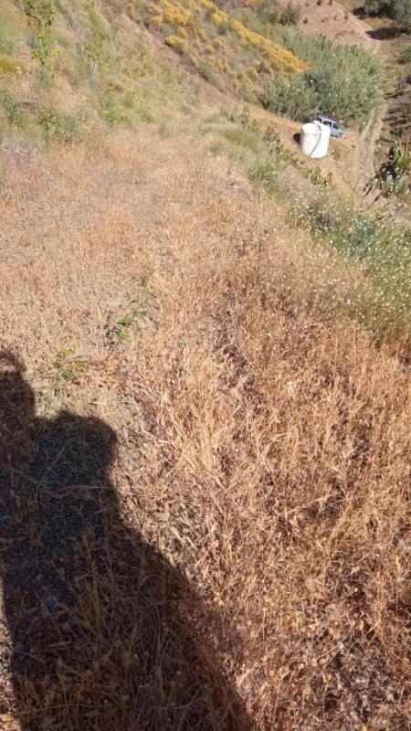 Terreno en venta en Vélez-Malaga, Malaga photo 3