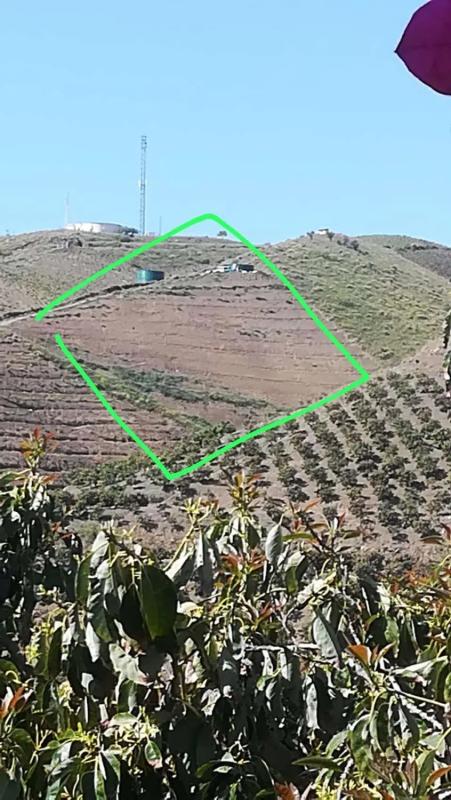 Terreno en venta en Vélez-Malaga, Malaga photo 4