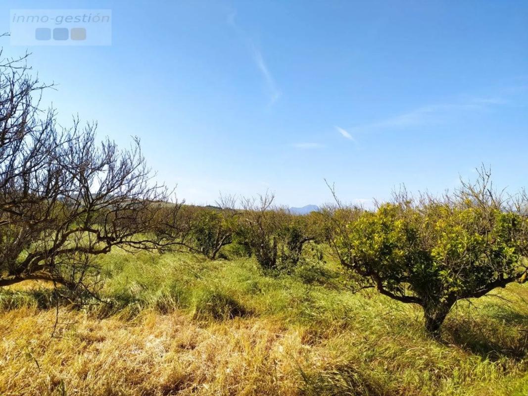 Land for sale in Casares, Malaga photo 1