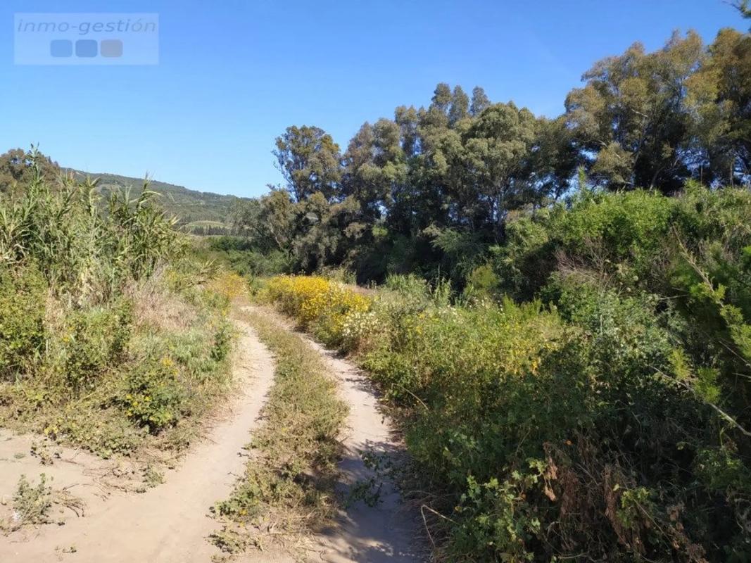 Land for sale in Casares, Malaga photo 2