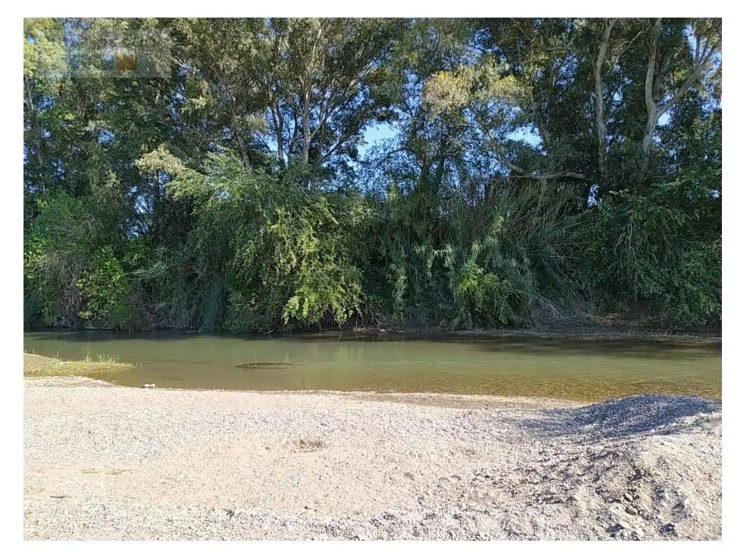 Land for sale in Casares, Malaga photo 3