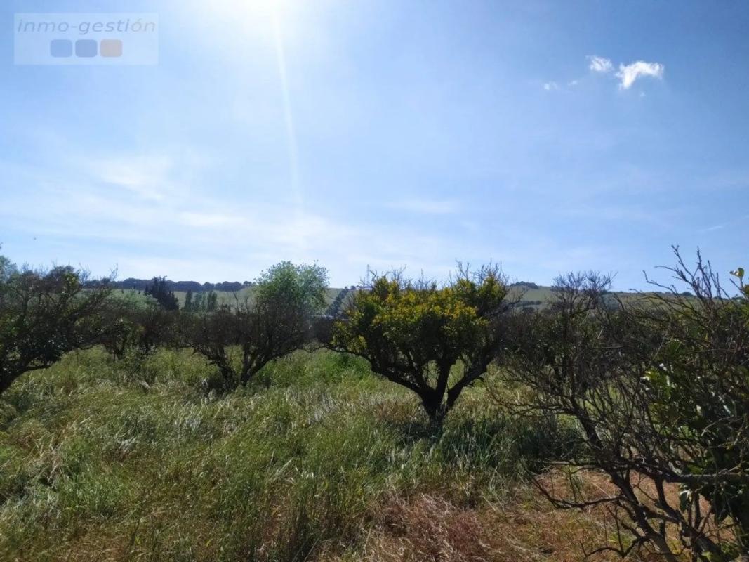 Land for sale in Casares, Malaga photo 5