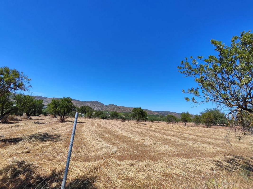 Land for sale in Alhaurín de la Torre, Malaga photo 1