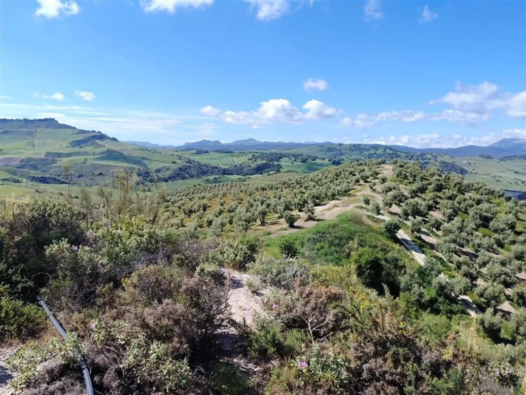 Terreno en venta en Estepona, Malaga photo 4