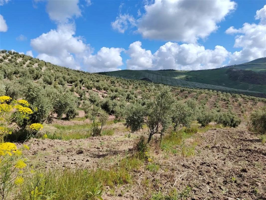 Terreno en venta en Estepona, Malaga photo 5