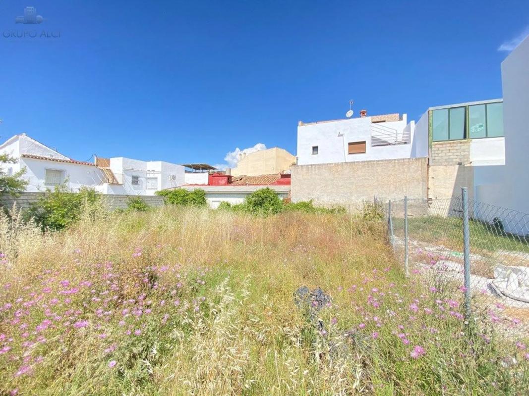 Land for sale in Vélez-Málaga, Malaga photo 4