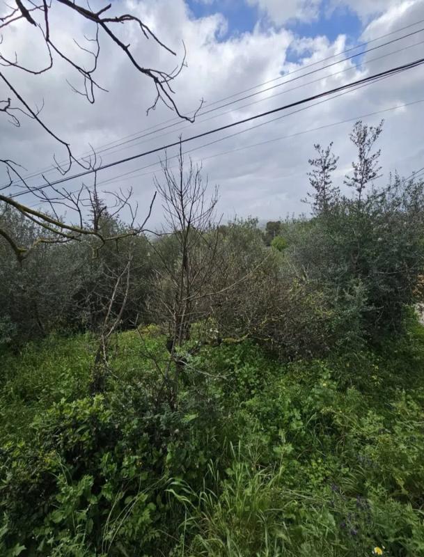 Terreno en venta en Cártama, Malaga photo 5