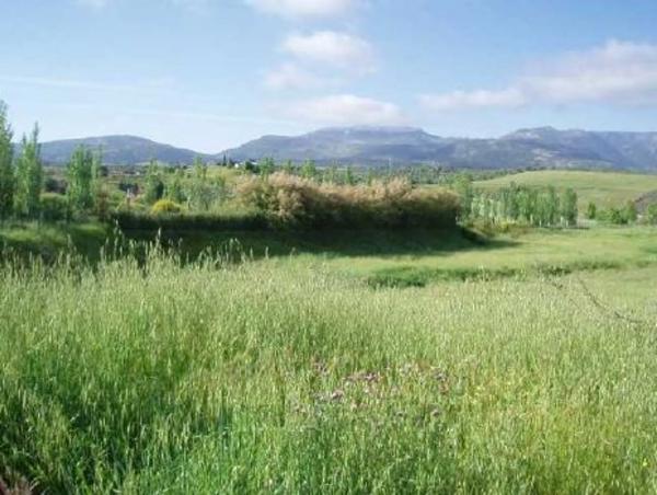 Terreno en camino Ancho photo 1