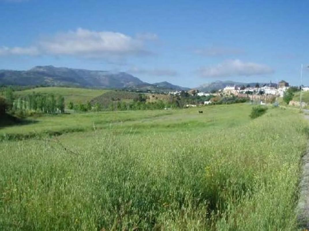 Terreno en venta en Ronda, Malaga photo 2