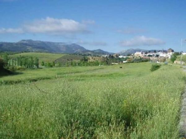 Terreno en camino Ancho photo 2