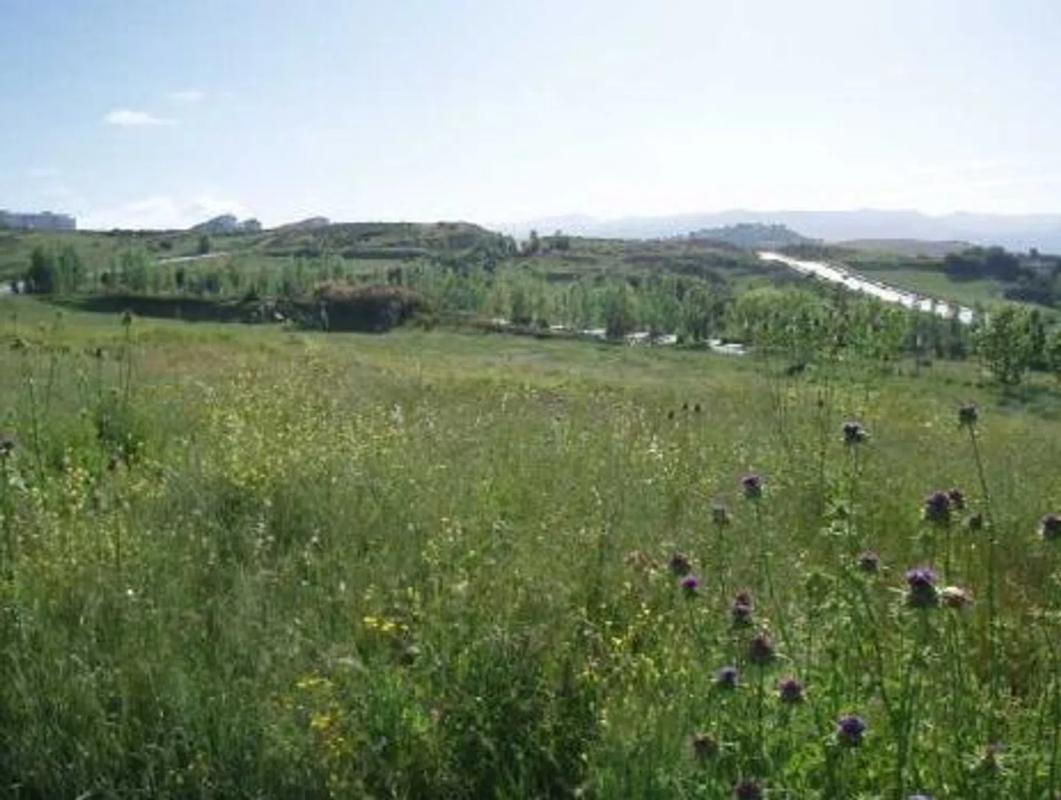 Terreno en venta en Ronda, Malaga photo 3