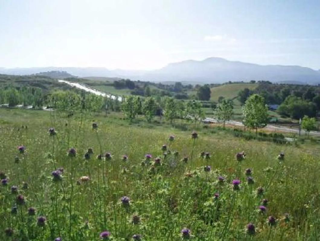 Terreno en venta en Ronda, Malaga photo 4