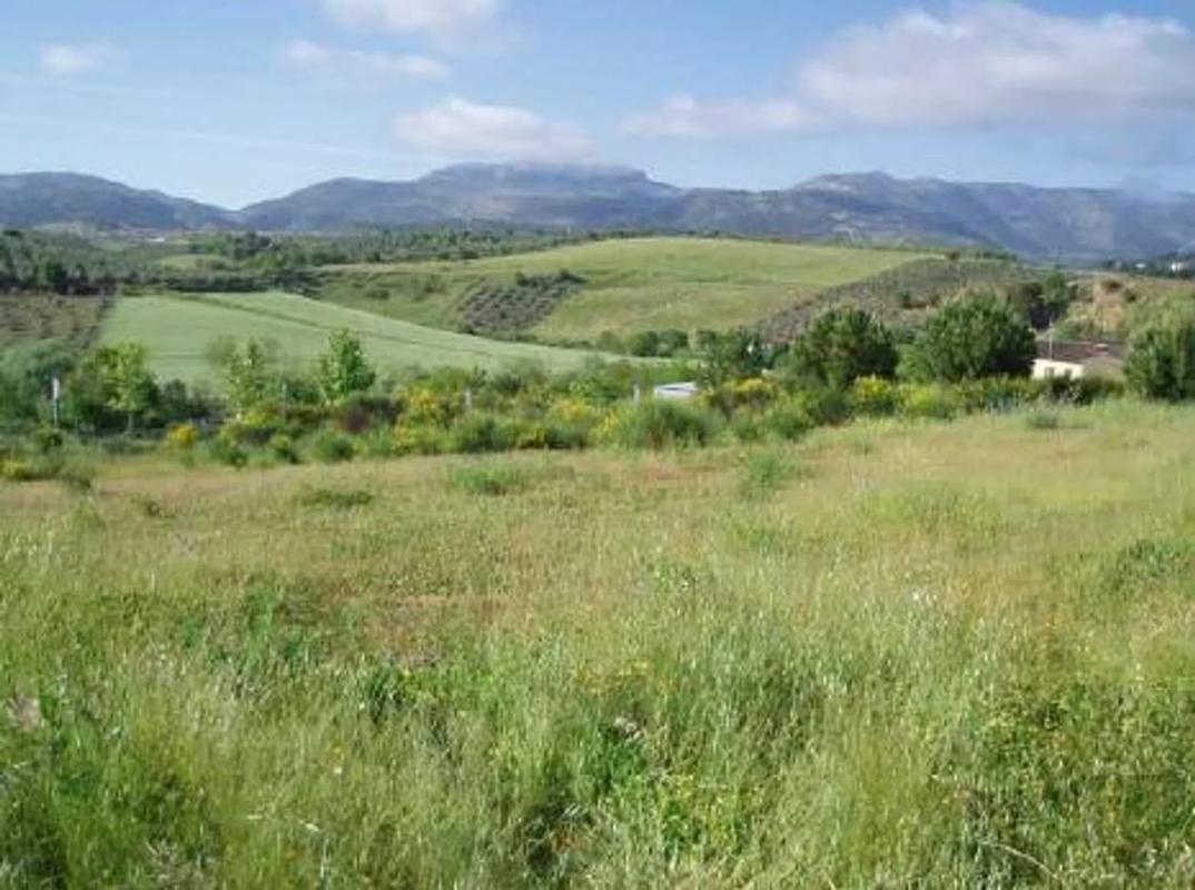 Terreno en venta en Ronda, Malaga photo 5