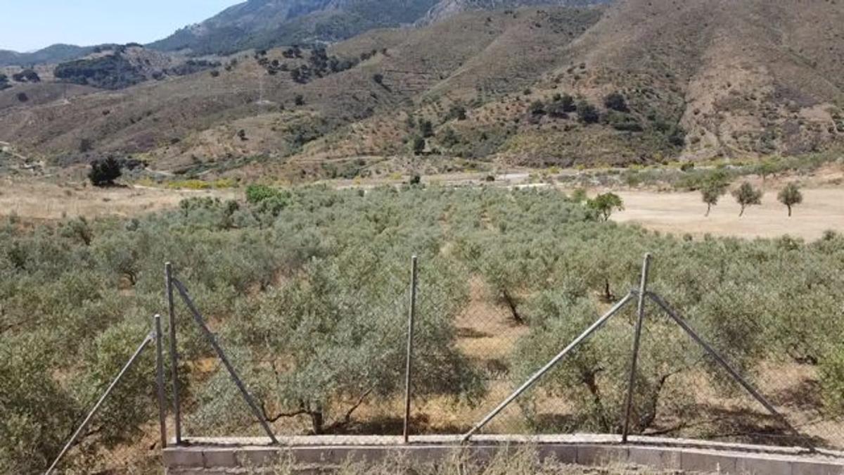 Участок земли на продажу в Ардалес, Малага photo 4