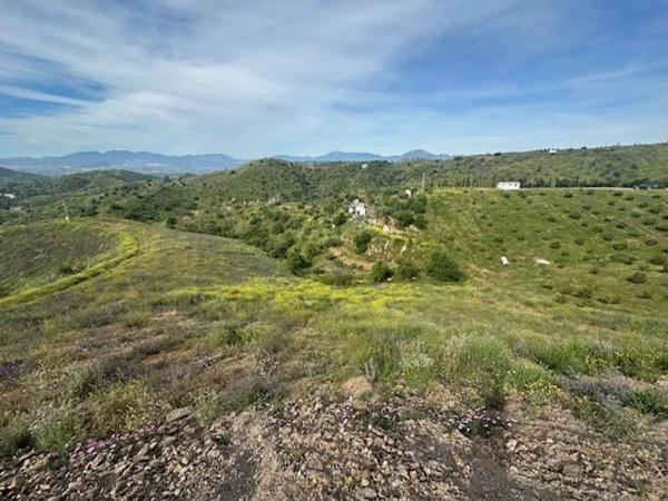 Terreno en las tres cruces, 19 photo 2