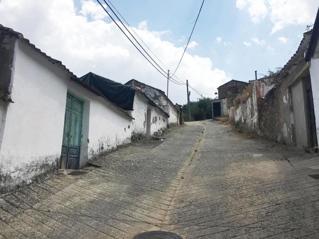 Terreno en venta en Benaojan, Malaga photo 3