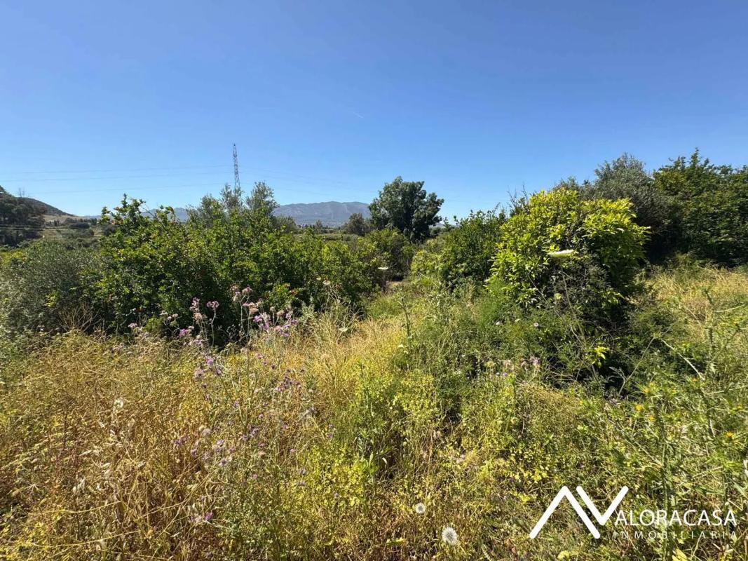 Land for sale in Cártama, Malaga photo 1