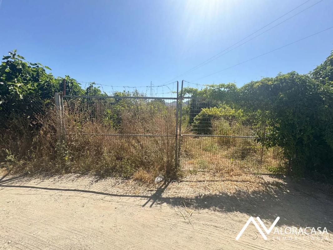Land for sale in Cártama, Malaga photo 4