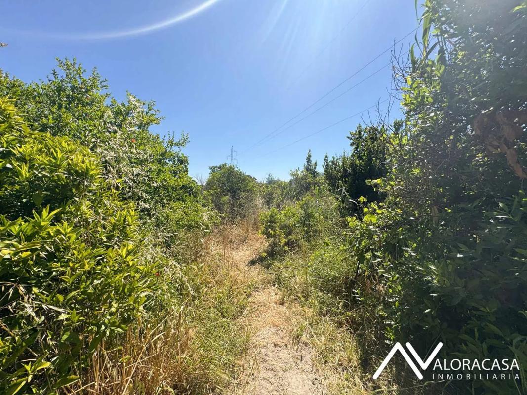 Land for sale in Cártama, Malaga photo 5