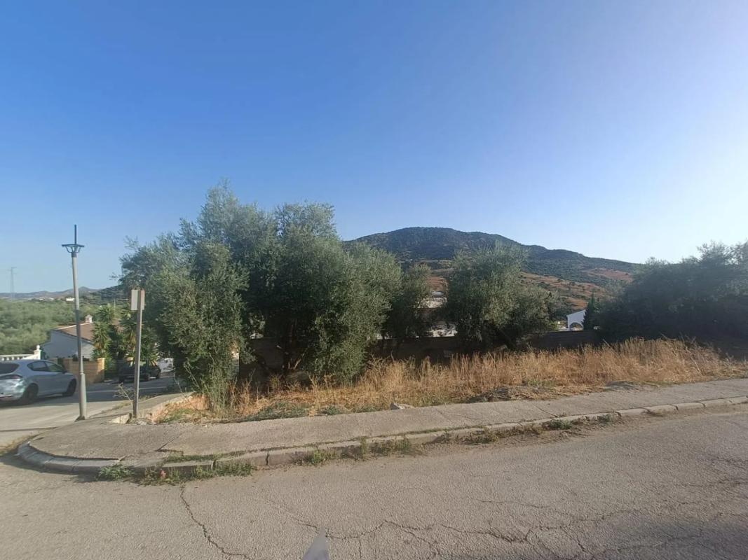 Land for sale in Periana, Malaga photo 2