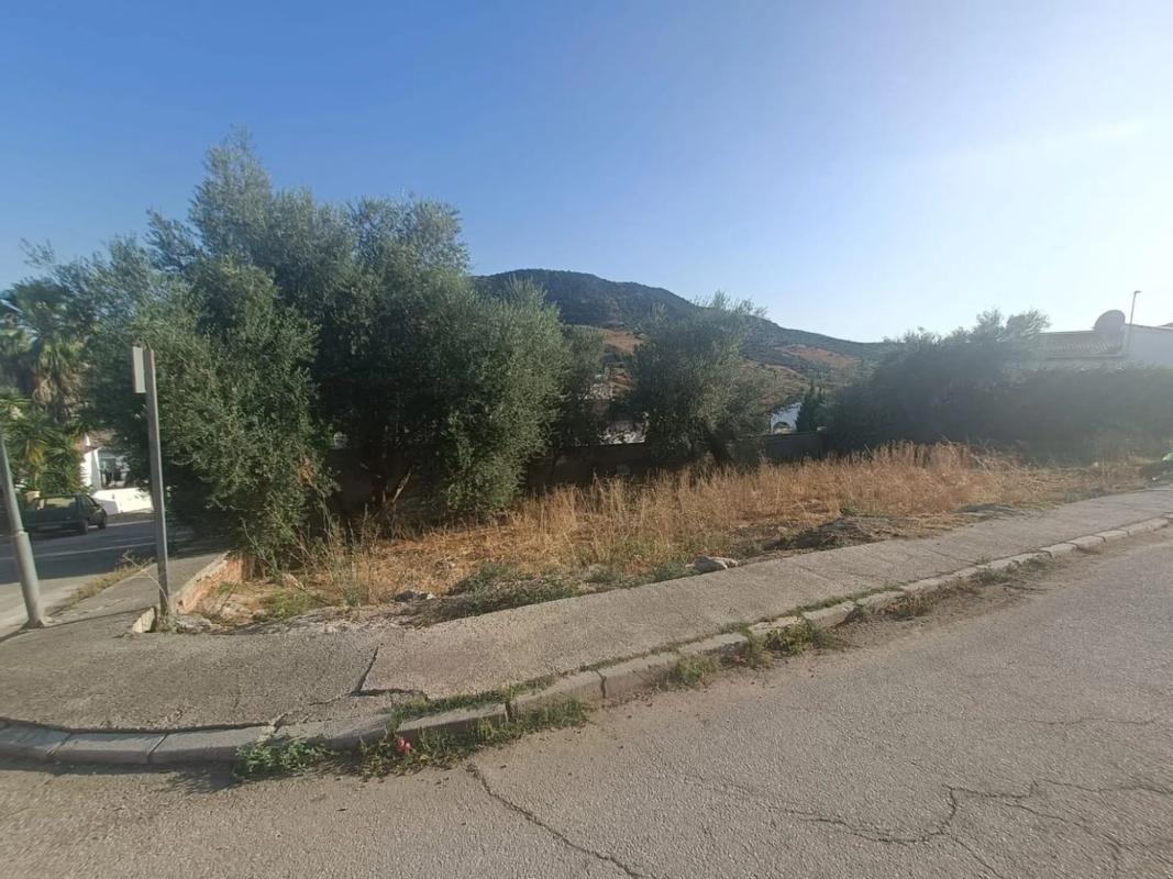 Land for sale in Periana, Malaga photo 3
