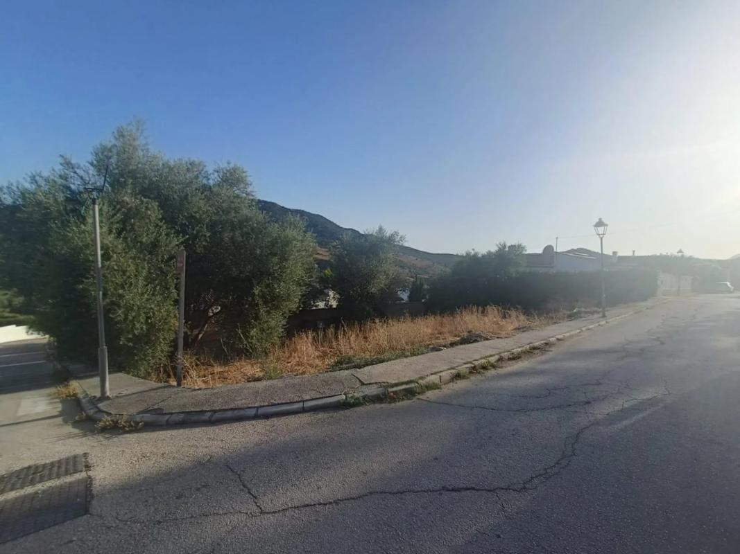 Land for sale in Periana, Malaga photo 4