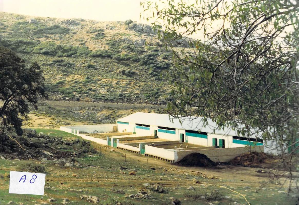 Terreno en venta en Ronda, Malaga photo 2