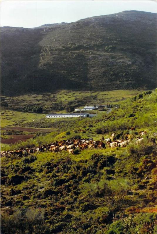 Terreno en venta en Ronda, Malaga photo 3