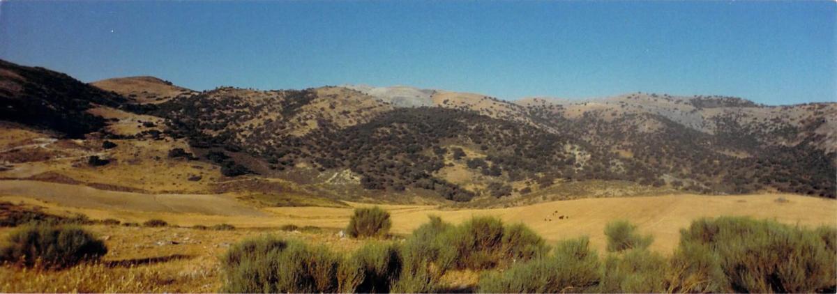 Terreno en venta en Ronda, Malaga photo 5